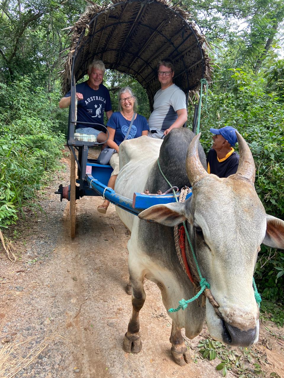 Sri Lanka Highlights: 3 Nights / 4 Days Private Guided Tour with Hotels - Image 5