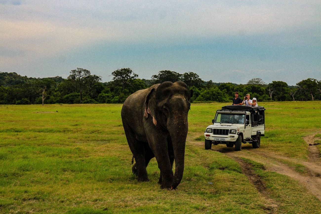 Sri Lanka Highlights: 3 Nights / 4 Days Private Guided Tour with Hotels - Image 3
